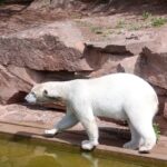 Zájezd Norimberk a ZOO