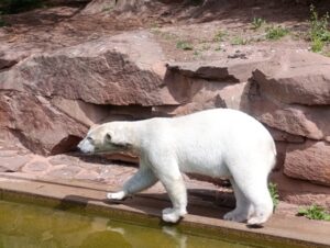 Zájezd Norimberk a ZOO
