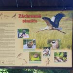 Jarní přírodovědná exkurze 7.&nbsp;tříd – Josefovské louky a&nbsp;záchranná stanice v&nbsp;Jaroměři