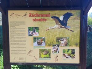 Jarní přírodovědná exkurze 7.&nbsp;tříd – Josefovské louky a&nbsp;záchranná stanice v&nbsp;Jaroměři